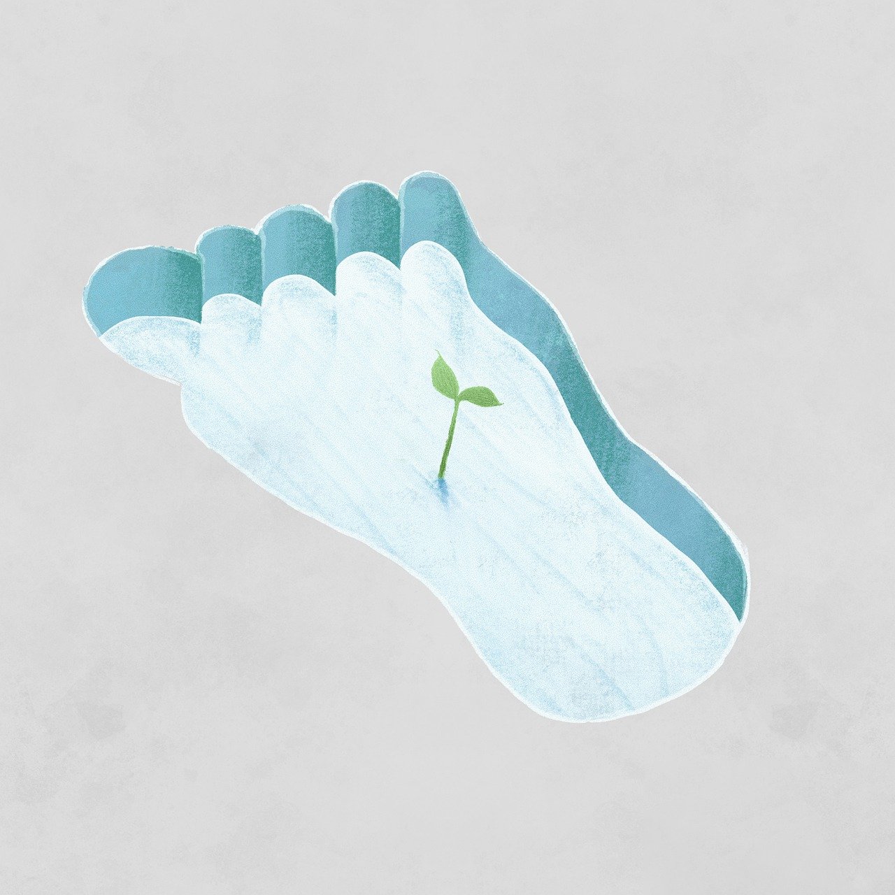co2-footprint